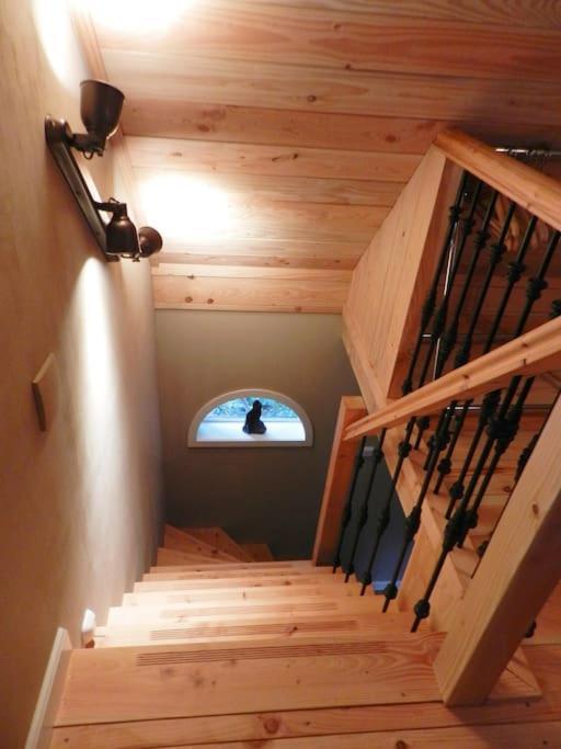 Tiny House Tholen Villa Exterior foto