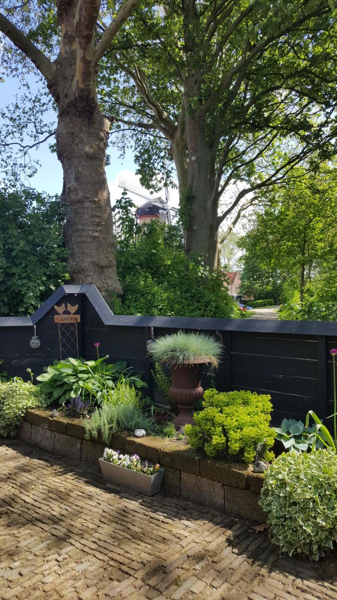 Tiny House Tholen Villa Exterior foto